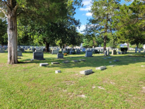 Headstones in different shapes and sizes at the Parsons Cemetery