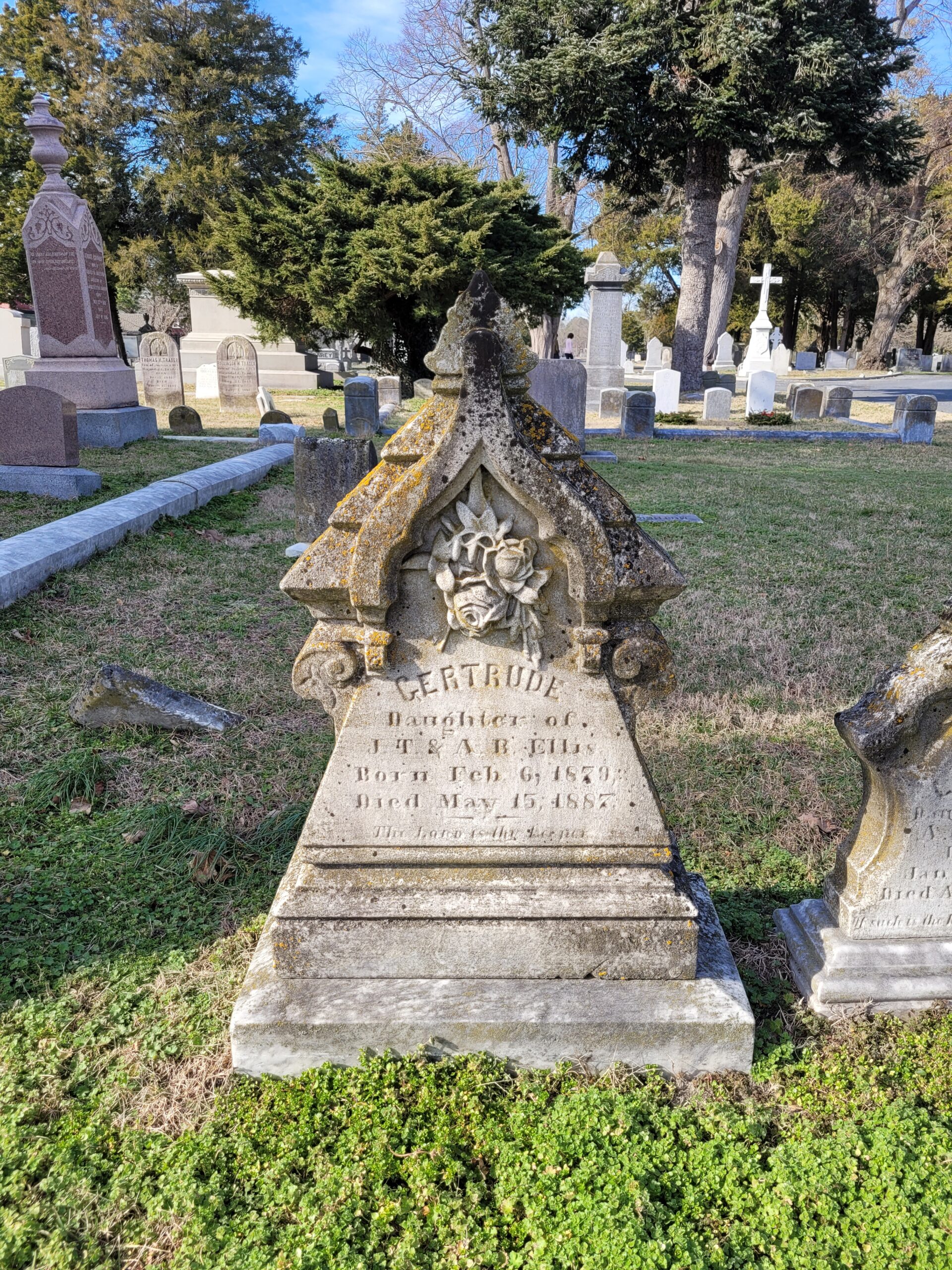 cemetery walking tours near me